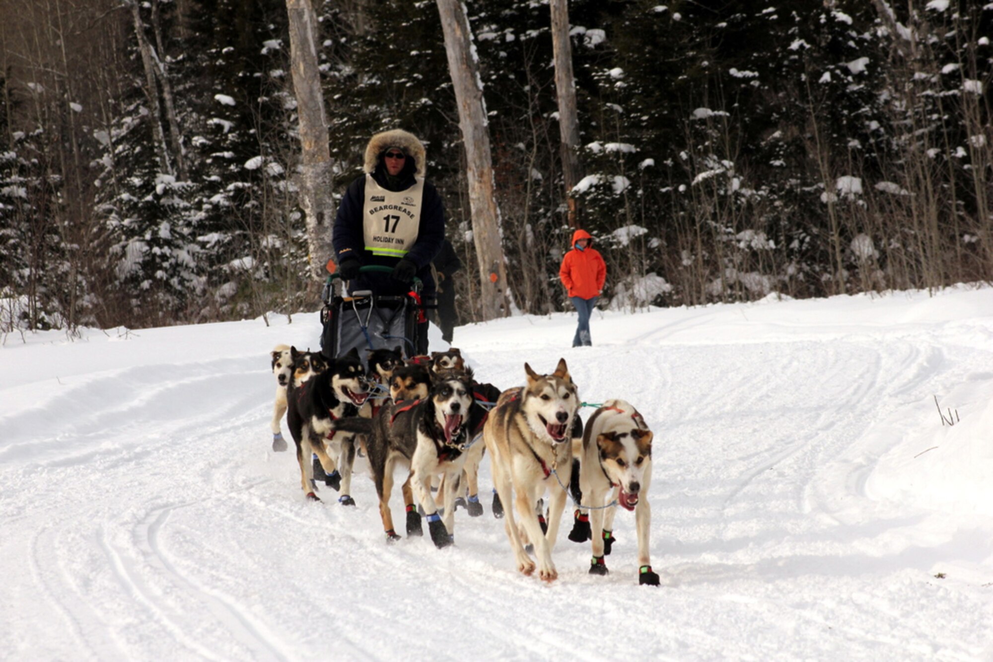 A John Beargrease Sled Dog Marathon competitor is seen crossing the checkpoint of the 148th Fighter Wing, Communications Flight, Deployable Interoperable Communications Element (DICE) team.  The 148th Communications Flight has been supporting the Beargrease Sled Dog Marathon since 1995.  U.S. Air Force photo by MSgt Richard Kaufman.  (Released)

