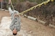 U.S. Air Force Senior Airman Travian Fearrington, 5th Force Support Squadron, Minot Air Force Base, N.D., a cross-training candidate for the Combat Controller career field proceeds through the Special Tactics Obstacle Course at Hurlburt Field, Fla., Feb. 9, 2011. Combat Controllers are committed to undertaking the most dangerous missions behind enemy lines by leading the way for other forces to follow. (U.S. Air Force photo by Airman 1st Class Caitlin O?Neil-McKeown/RELEASED)