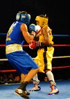 U.S. Marine Corps Cpl. Alex Diaz (left) lands a punch on U.S. Army Sgt. John Franklin (right) during their Armed Forces Boxing Championships 114 lb. title bout Feb. 18 at Lackland Air Force Base, Texas. Franklin defeated Diaz and will go on to compete in the 2012 Olympic team trials. (U.S. Air Force photo/Staff Sgt. Sharida Jackson)