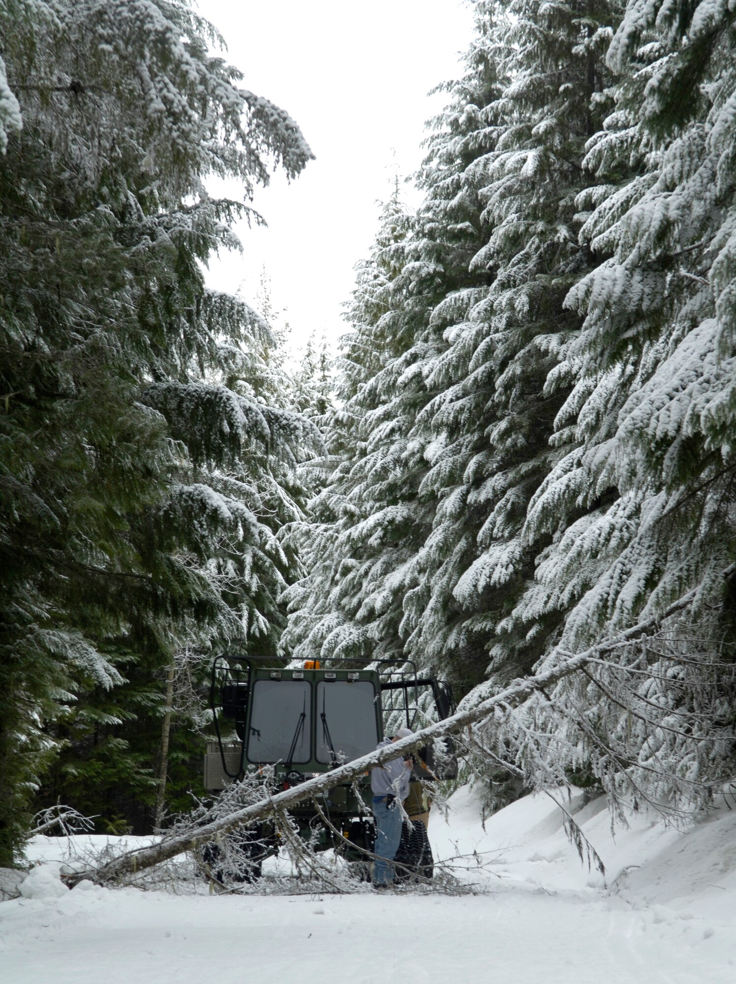 Transmission systems radio Airmen with the 92nd Communications Squadron and their guide from 336th Training Group tow a tree out of their path Feb. 16, 2011 in the Calispell Mountains in Spokane, Wash. They had to move the tree so they could travel up the mountain to deice a radio tower that provides communications for 336th Training Group and local law enforcement. These radio communications are used for rescue and training missions.  (U.S. Air Force photo/ Senior Airman Natasha E. Stannard)