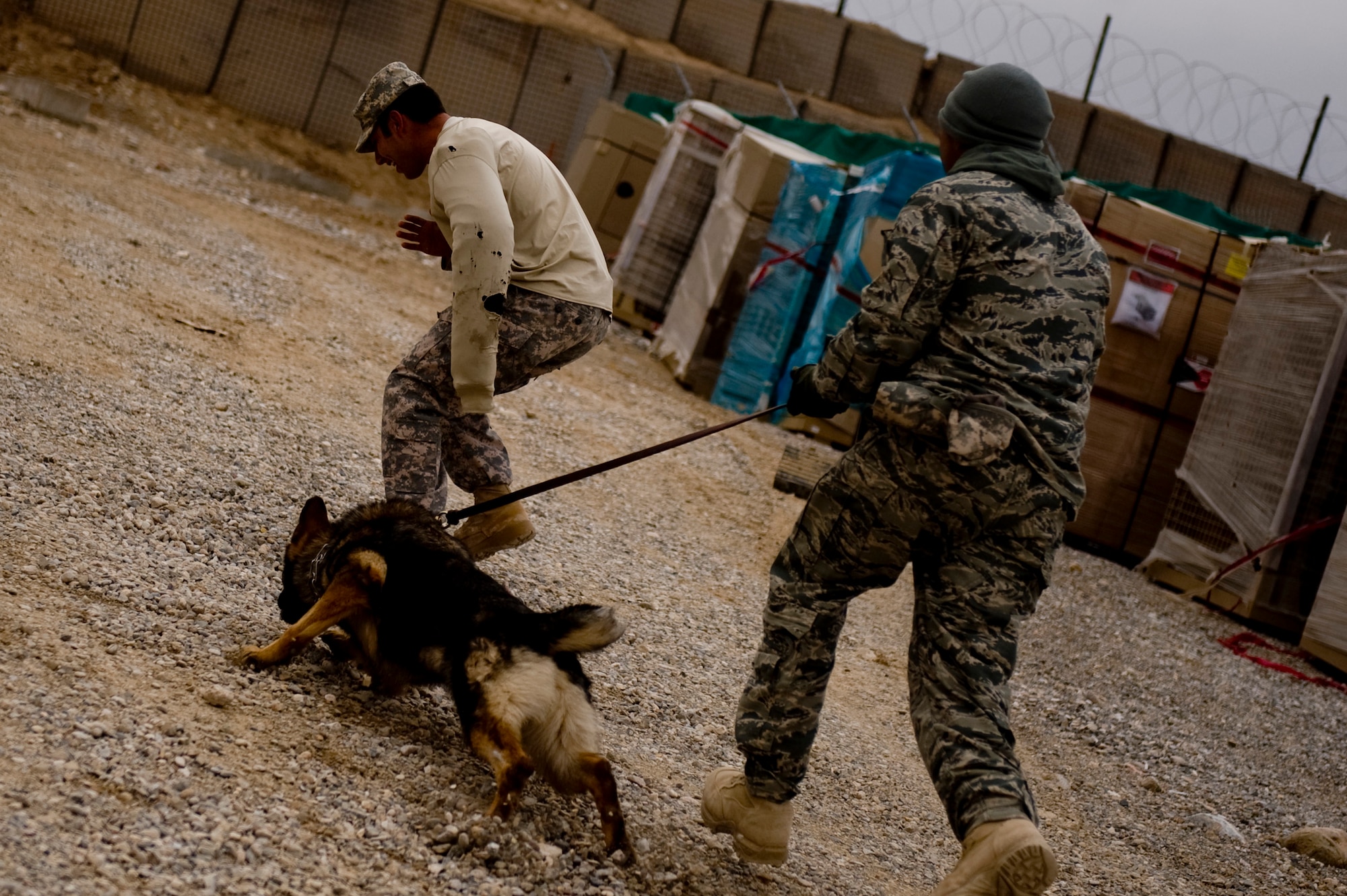 U.S. Air Force Staff Sgt. Pascual Gutierrez and his military working / patrol explosive detection dog Edy,Combined Team Zabul, Afghanistan, deployed from the 9th Security Forces Squadron, Beale AFB, Calif., conduct a challenge training session with Spc. Joseph Lopez, a military working dog handler deployed from the 148th Military Police Detachment, Ft. Carson, Colo., at Forward Operatin Base Lagman, Afghanistan. Sergeant Gutierrez, Specialist Lopez and Edy are part of Combined Team Zabul. The team is made up of dogs and dog handlers from the Air Force, Army and Navy who help support the various units at FOB Lagman during patrols and other various missions. (U.S. Air Force Photo/ Master Sgt. Adrian Cadiz)
