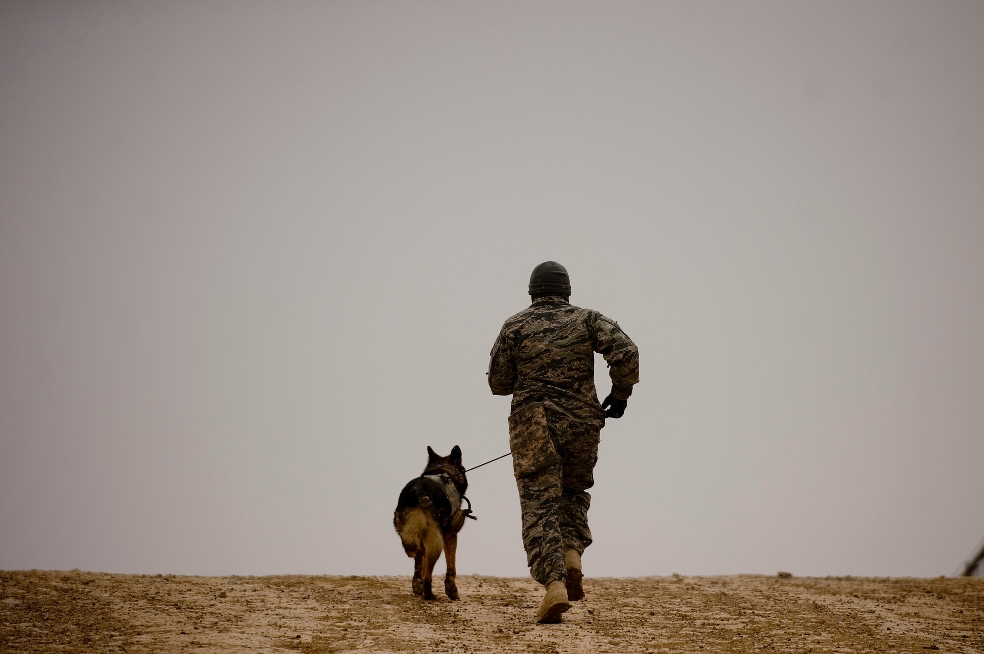 Staff Sgt. Pascual Gutierrez, a military working dog handler for Combined Team Zabul, Afghanistan,  deployed from the 9th Security Forces Squadron, Beale AFB, Calif., rewards his military working/patrol explosive detection dog Edy with a brisk walk after Edy successfully sniffed out explosive devices during an explosive device detection training session at Forward Operating Base Lagman.Sergeant Pascual and Edy are part of Combined Team Zabul. The team is made up of dogs and dog handlers from the Air Force, Army and Navy who help support the various units at FOB Lagman during patrols and other various missions. (U.S. Air Force Photo/ Master Sgt. Adrian Cadiz)
