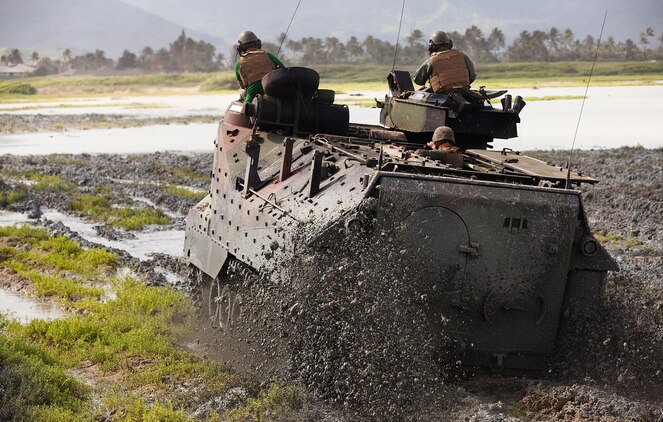 The spinning tracks of an amphibious assault vehicle with AAV Platoon, Combat Assault Company, 3rd Marine Regiment, sends mud flying as it tears up invasive pickleweed in the Nuupia Ponds Wildlife Management Area during the 29th annual Mud Ops exercise on Marine Corps Base Hawaii, Feb. 23, 2011. The 29-year-long Mud Ops tradition partnered AAV Platoon Marines with the base Environmental Compliance and Protection Department to prepare the 517-acre area for the upcoming breeding season of the endangered Hawaiian stilt bird species, which lasts from March until September.