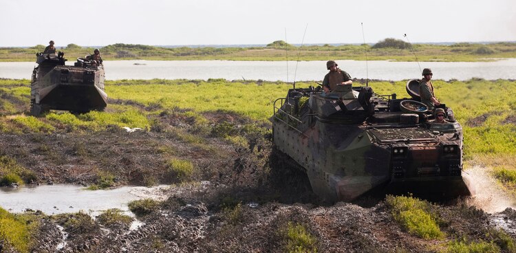 Amphibious assault vehicles with AAV Platoon, Combat Assault Company, 3rd Marine Regiment, send mud flying as they tear up invasive pickleweed in the Nuupia Ponds Wildlife Management Area during the 29th annual Mud Ops exercise on Marine Corps Base Hawaii, Feb. 23, 2011. The 29-year-long Mud Ops tradition partnered AAV Platoon Marines with the base Environmental Compliance and Protection Department to prepare the 517-acre area for the upcoming breeding season of the endangered Hawaiian stilt bird species, which lasts from March until September.