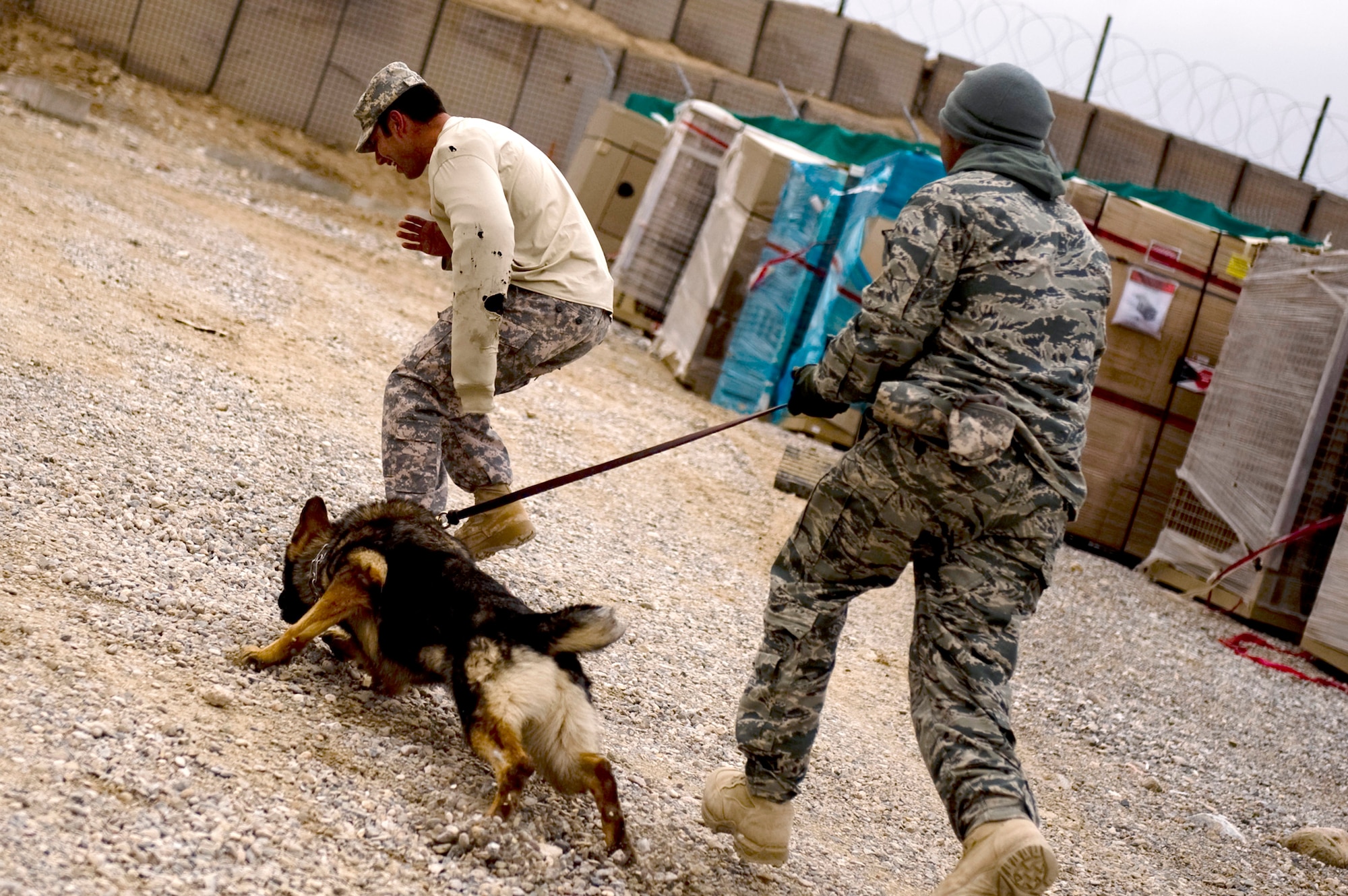 Staff Sgt. Pascual Gutierrez and Edy conduct a challenge training session with Army Spc. Joseph Lopez Feb. 18, 2001, at Forward Operatin Base Lagman, Afghanistan. Sergeant Gutierrez and Specialist Lopez are military working dog handlers and Edy is a military working and patrol explosive detection dog assigned to Combined Team Zabul, Afghanistan. The team is composed of working dogs and dog handlers from the Air Force, Army and Navy who help support the various units at FOB Lagman during patrols and other various missions. (U.S. Air Force photo/Master Sgt. Adrian Cadiz) 