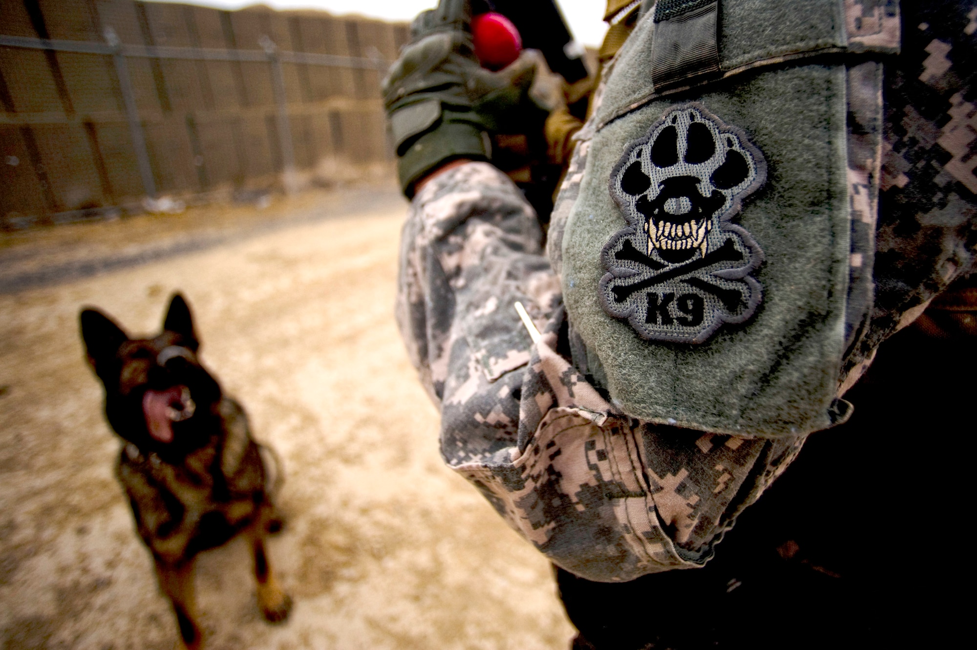 Staff Sgt. Pascual Gutierrez praises and prepares to give Coley a chew toy Feb. 18, 2011, at Forward Operating Base Lagman, Afghanistan, after Coley successfully sniffed out explosive devices during an explosive device detection training session. Sergeant Gutierrez is a military working dog handler and Coley is a military working and patrol explosive detection dog assigned to Combined Team Zabul, Afghanistan. The team is composed of working dogs and dog handlers from the Air Force, Army and Navy who help support the various units at FOB Lagman during patrols and other various missions.(U.S. Air Force photo/Master Sgt. Adrian Cadiz) 
