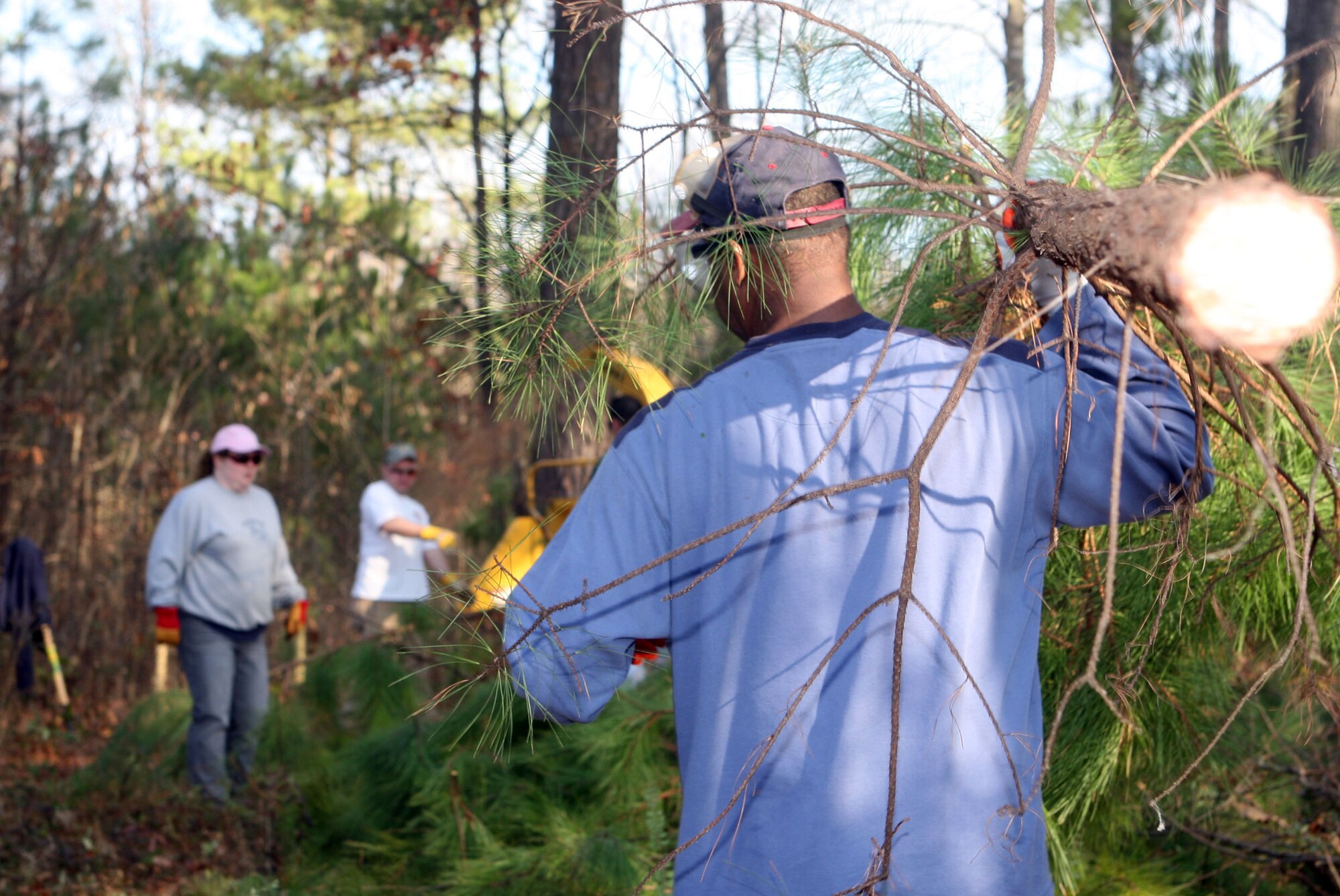 Trees and brush were shredded as a team of volunteers from Dobbins worked to clear overgrowth from the Jonesville Cemetery located on the base Feb. 19. (U.S. Air Force photo/Don Peek)
