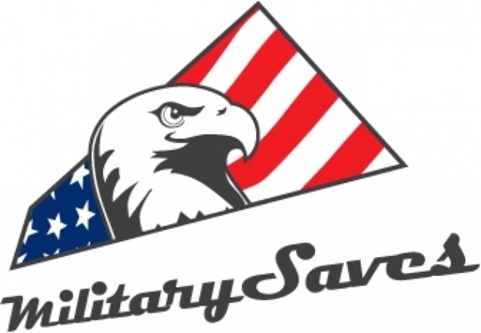 The Military Saves Campaign is made possible by the joint efforts of the Department of Defense and the Consumer Federation of America, a financial readiness non-profit organization, which runs the larger America Saves Campaign. The campaign provides valuable information and services to active-duty, National Guard and Reserve members regarding financial responsibility. (courtesy photo)