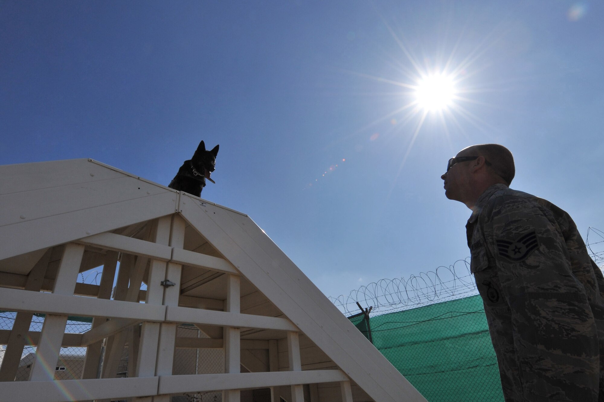 Military working dog Rex waits for his handler Staff Sgt. Brett Hurley?s command while on the obstacle course at Bagram Airfield, Afghanistan, Feb. 25, 2011. Military working dogs continuously train even in a deployed location. Sergeant Hurley and Rex are assigned to the 455th Expeditionary Security Forces Squadron here. (Air Force photo by Senior Airman Sheila deVera)