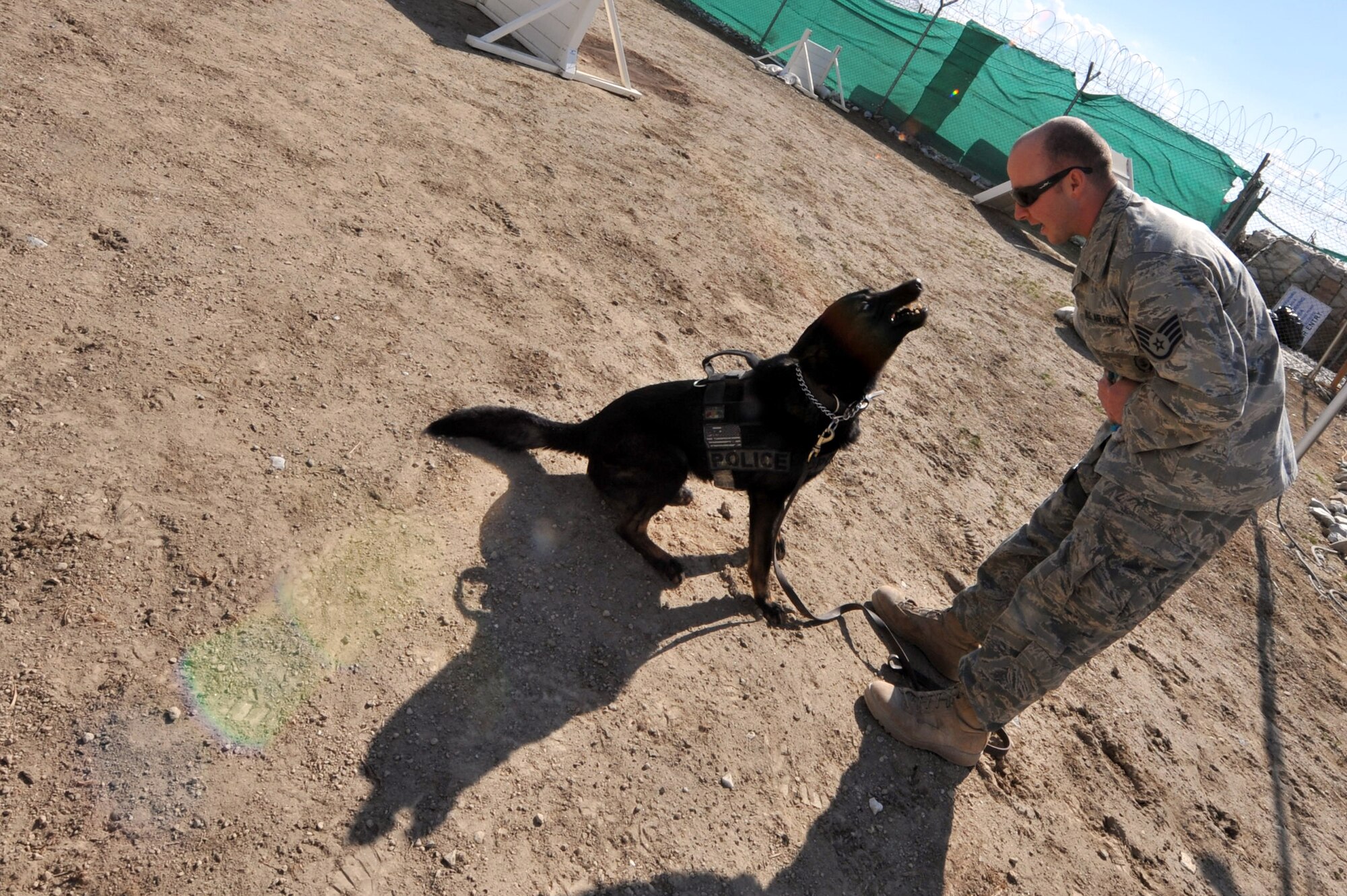Staff Sgt. Brett Hurley praises his military working dog, Rex, after going through the obstacle course at Bagram Airfield, Afghanistan, Feb. 25, 2011. Military working dogs continuously train even in a deployed location. Sergeant Hurley and Rex are assigned to the 455th Expeditionary Security Forces Squadron here. (Air Force photo by Senior Airman Sheila deVera)