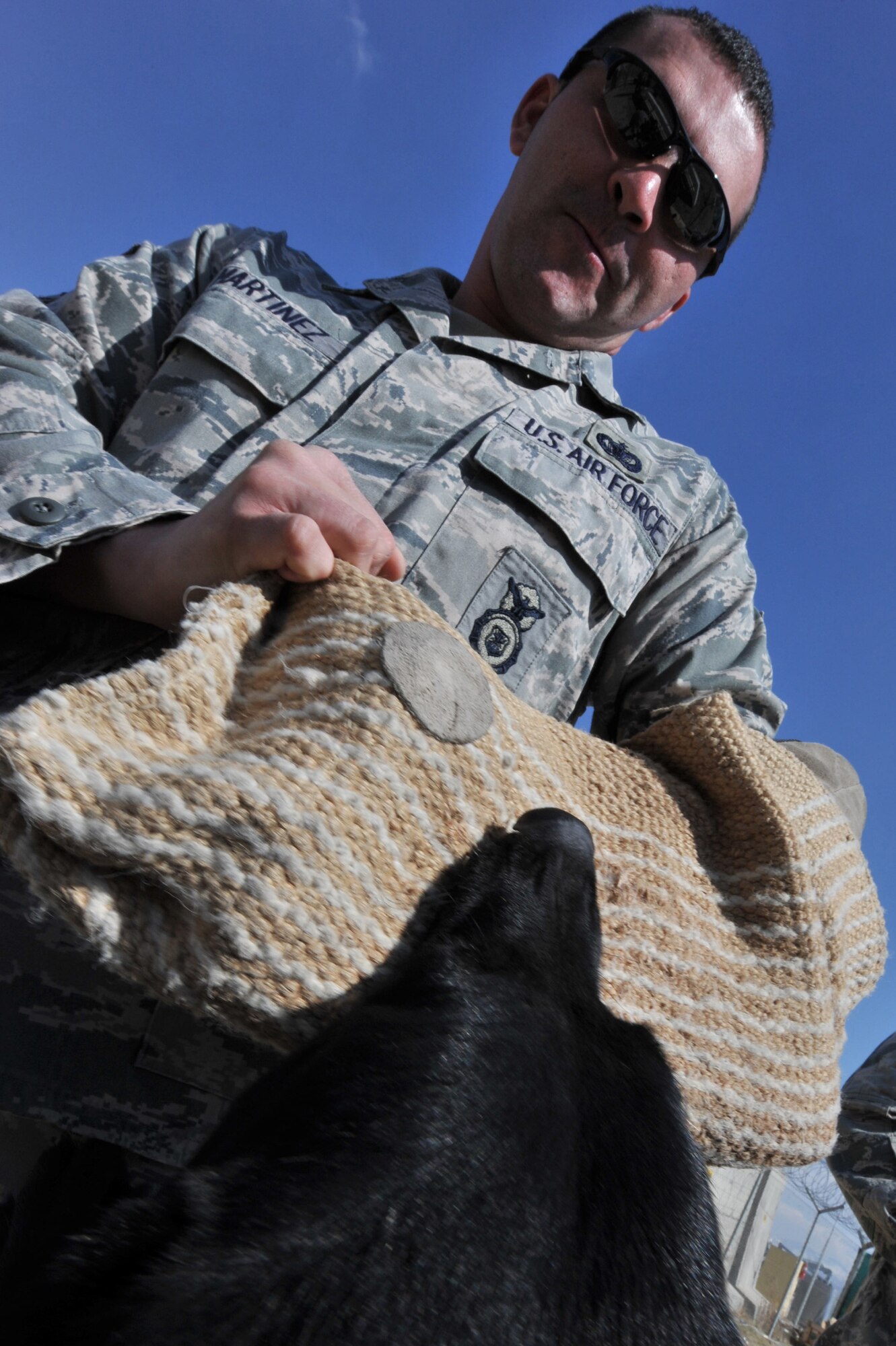 Military working dog Iva attacks Staff Sgt. Bruce Martinez in a controlled aggression exercise at Bagram Airfield, Afghanistan, Feb. 25, 2011. Military working dogs continuously train even in a deployed location. Sergeant Martinez and Iva are assigned to the 455th Expeditionary Security Forces Squadron here. (Air Force photo by Senior Airman Sheila deVera)