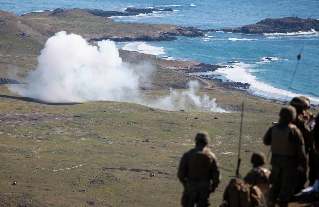 Marines, with 1st Air Naval Gunfire Liaison Company, observe a live fire exercise during Exercise Iron Fist here Feb. 27. Marines, with the 11th Marine Expeditionary Unit, and soldiers, with the Japanese Western Army Infantry Regiment, are participating in the bilateral training designed to enhance the services interoperability.