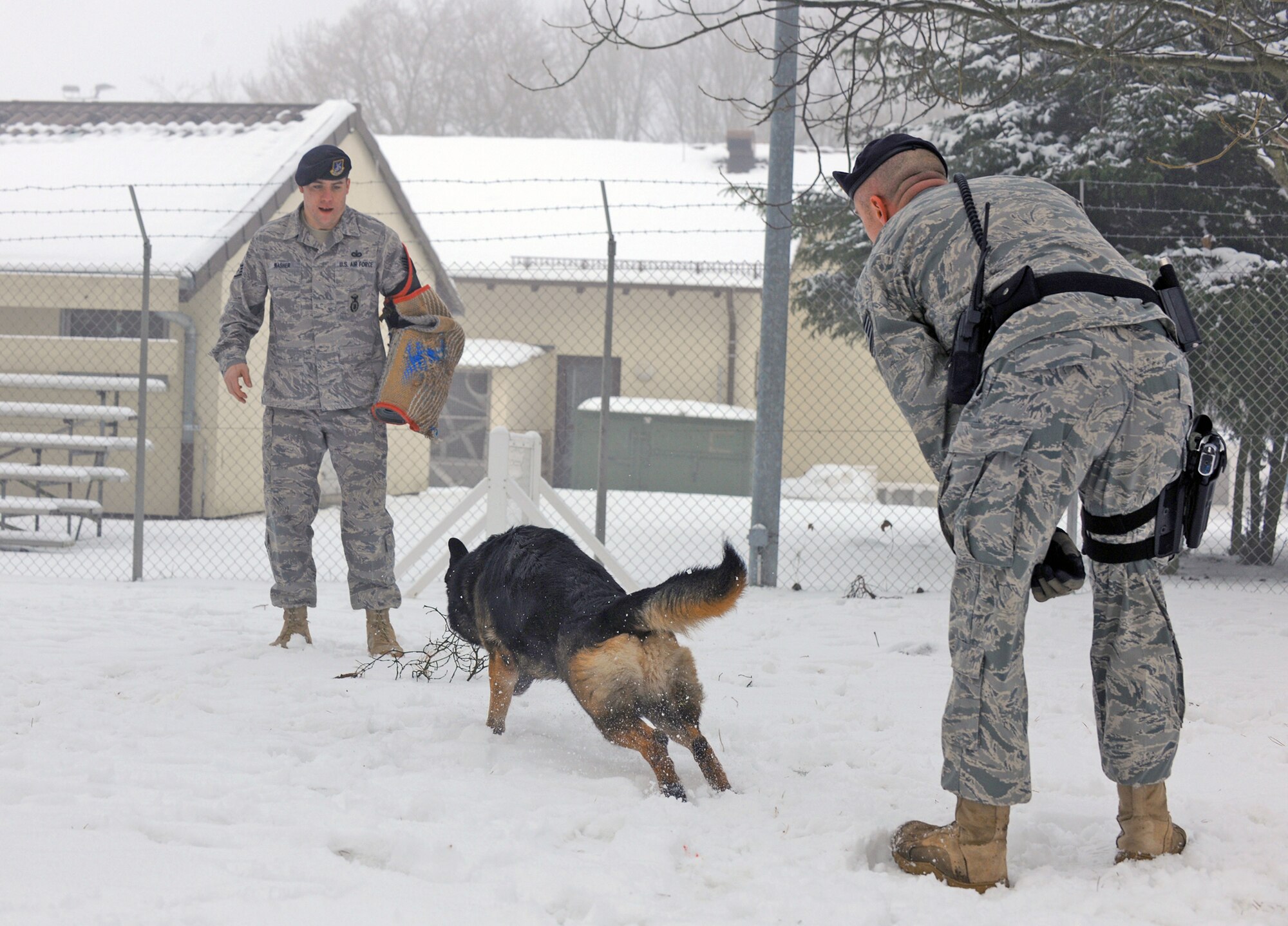 Staff Sgt. David Simpson gives Robson, a 5-year-old German shepherd, the command to attack Staff Sgt. William Washer during a training exercise Dec. 29, 2010, at the 52nd Security Forces Squadron military working dog facility at Spangdahlem Air Base, Germany. Handlers play and train with their dogs in the snow to help them acclimate to cold German winters and harsh conditions in which they must work. Sergeant Simpson and Sergeant Washer are 52nd SFS military-working-dog handlers. (U.S. Air Force photo/Senior Airman Nathanael Callon)