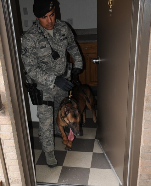 LAUGHLIN AIR FORCE BASE, Texas – Staff Sgt. Bryan Garcia, 47th Security Forces Squadron, leads his Military Working Dog, Ado, through an inspection of Laughlin’s officer dormitories Jan. 4. In addition to the inspection of both the enlisted and officer dorms, all enlisted dorm residents and 10 percent of Laughlin’s student pilots were called to Laughlin's Losano Fitness Center for a drug screening. (U.S. Air Force photo by Airman 1st Class Blake Mize)
