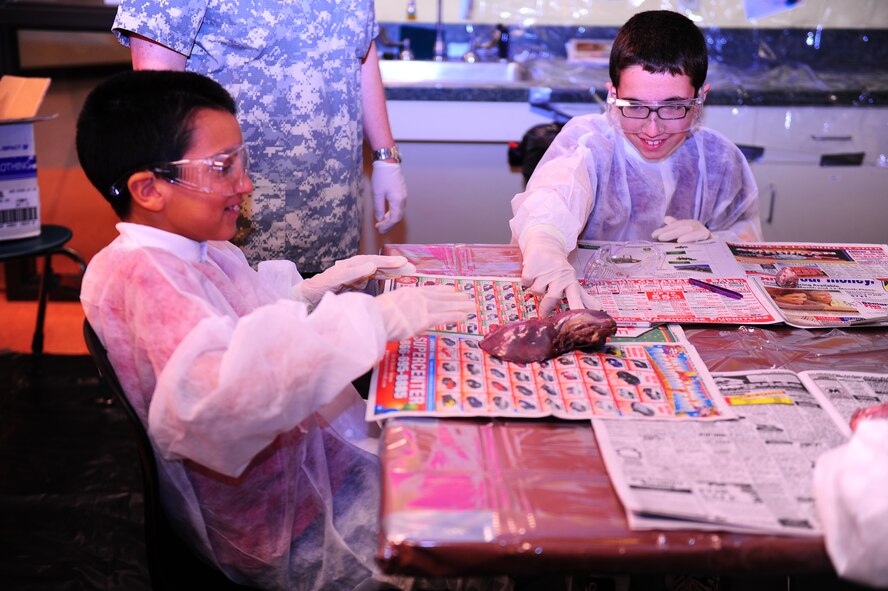 DYESS AIR FORCE BASE, Texas—Dr. Denise Ruark, Dyess veterinarian, explains the different parts of a deer Jan. 3 at the youth center here as children participate in the dissection. The youth center is open to children five to 18, and offers different programs and activities for each age group. For more information, call (325) 696–4797. (U.S. Air Force photo/ Airman First Class Courtney Moses)