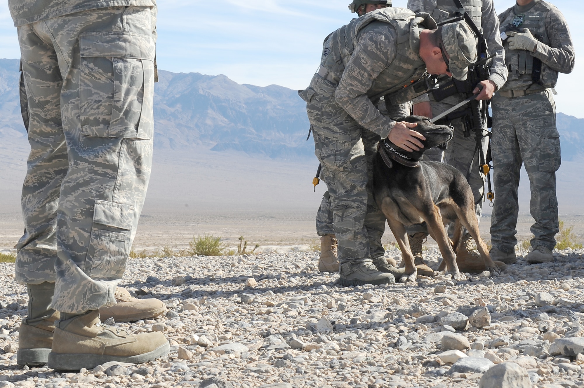 Military working dog Bico gets some encouragement from a dog handler before starting a training exercise Oct. 29, 2010, at the Nevada Test and Training Range. The training exercise is part of a new Nellis Air Force Base, Nev., program created to condense the current 80 day training curriculum for handlers and MWDs. (U.S. Air Force photo/Airman 1st Class Daniel Hughes) 