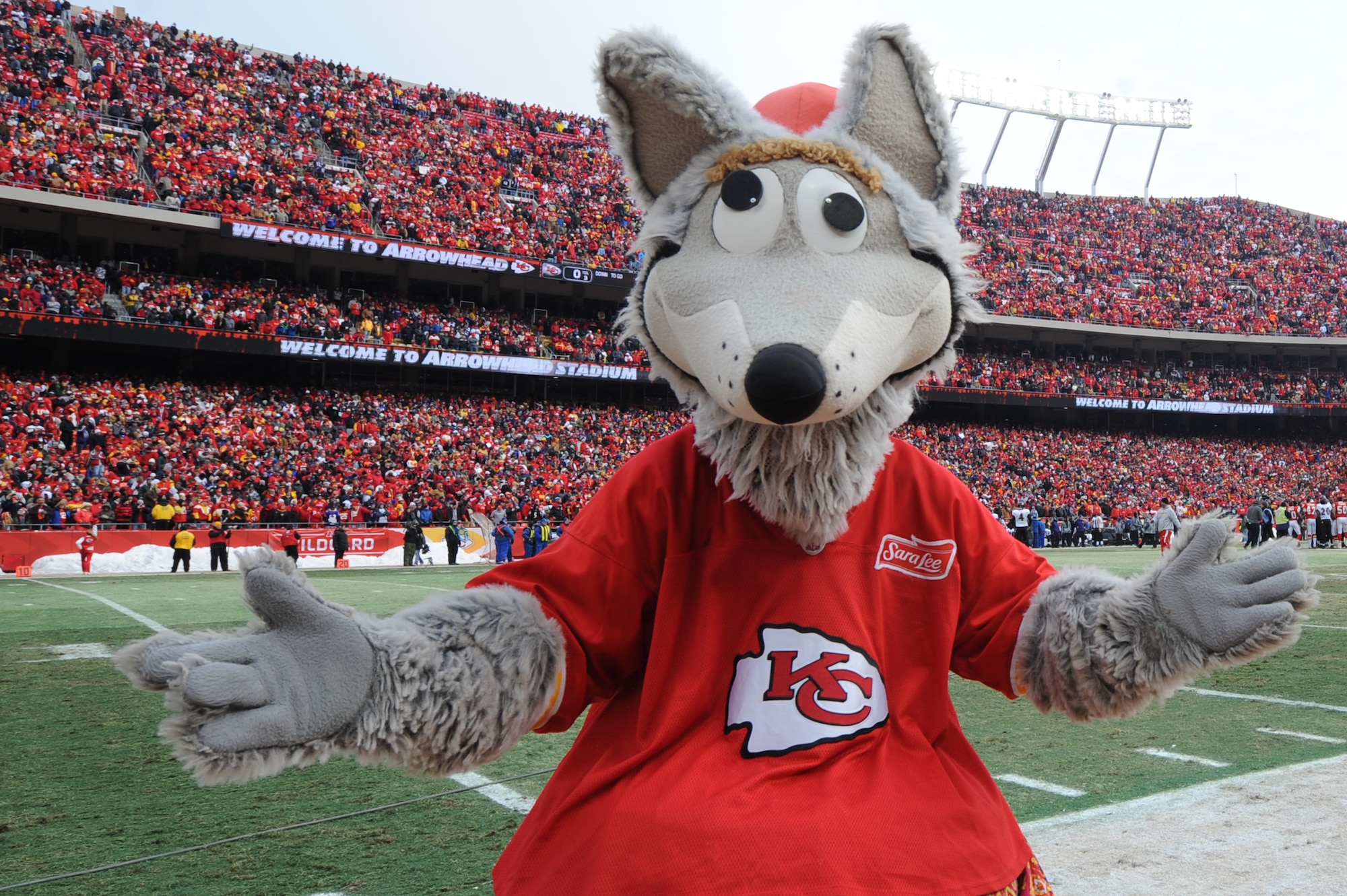KANSAS CITY, Mo. - KC Wolf, the official mascot of the Kansas City Chiefs, ramps up fans before opening kick-off of the Chief's Wild Card game against the Baltimore Ravens Jan 9. (U.S. Air Force photo by Senior Airman Carlin Leslie)
