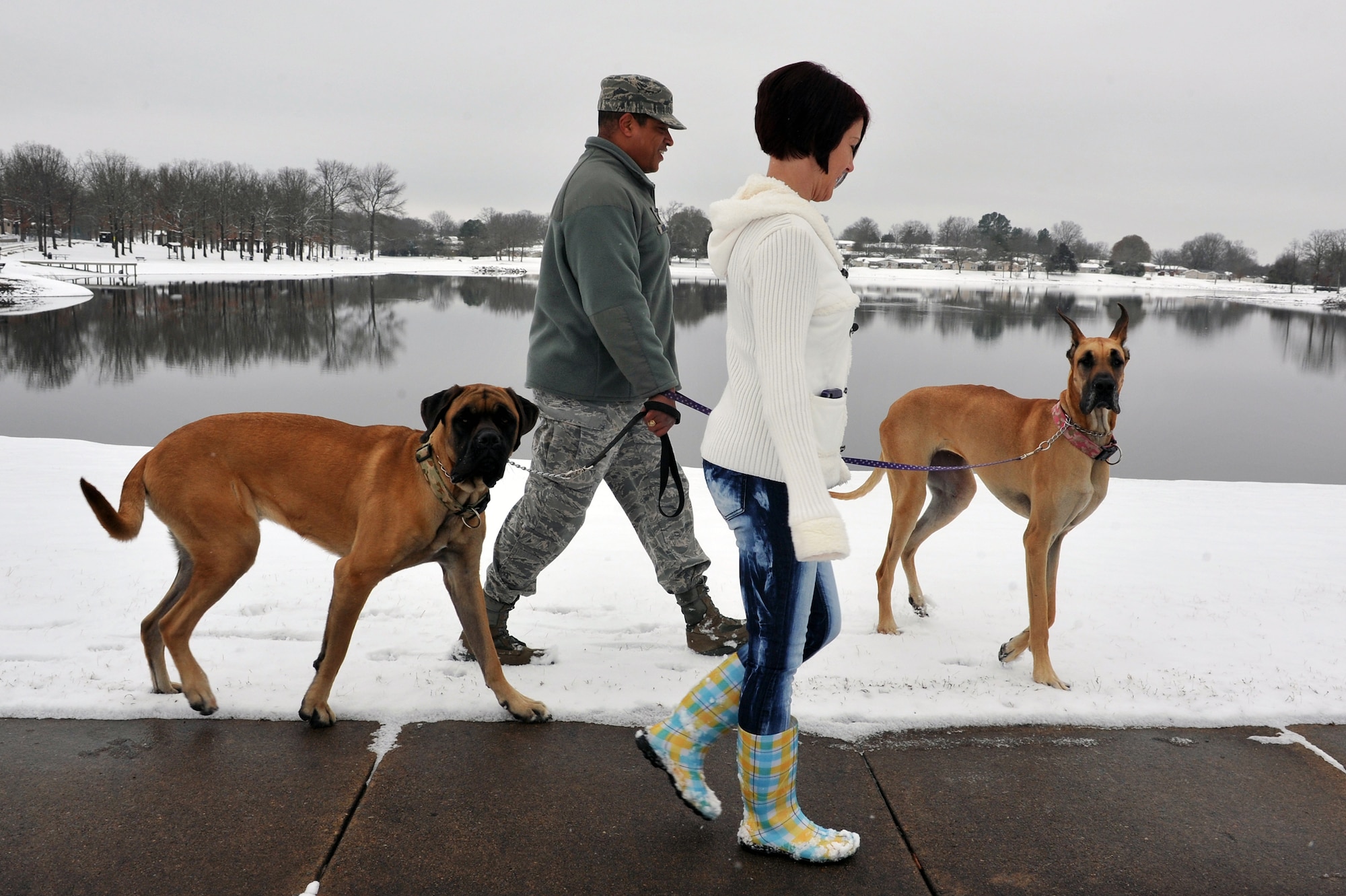 Senior Master Sgt. Mark Misewicz, 61st Airlift Squadron superintendent, and his wife, Lorénn, Hunt Pinnacle Communities base housing leasing director, take their dogs for a walk along the base lake Jan. 10, 2011, at Little Rock Air Force Base, Ark. Many base residents took advantage of the down day and enjoyed the first snow of the year. (U.S. Air Force photo by Staff Sgt. Chris Willis)