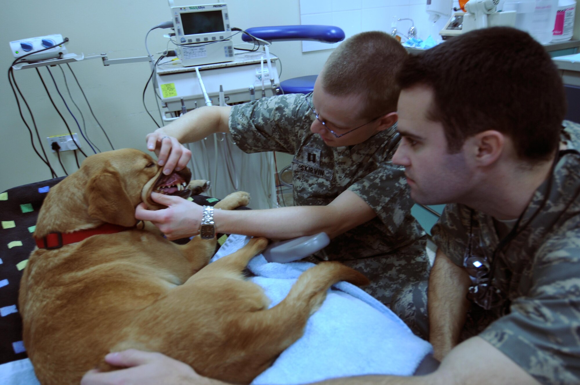 Army Capt. Daniel Skirvin, the veterinarian deployed here, along with Air Force Capt. Matt Synder, 386th Expeditionary Medical Group dentist, check Nina's, a contract working dog's, teeth before giving her a cleaning Jan. 1. Captain Synder and his dental technician, along with the veterinarian here, work together to provide dental services to military and contract working dogs. (U.S. Air Force photo by Staff Sgt. Patrice Clarke)
