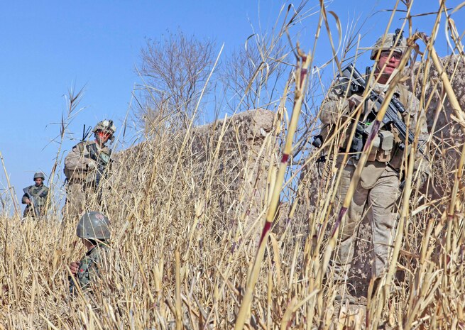 Lance Cpl. Glenn A. Cocagne, a team leader with Weapons Company, 2nd Battalion, 9th Marine Regiment, leads a group of Marines and Afghanistan National Army soldiers outside a compound during Operation Integrity, in Marjah, Helmand Province, Afghanistan, Jan. 15. The main purpose of the operation was to successfully cordon off a suspected hotspot for Taliban activity, search for weapon and IED caches, disrupt enemy logistical operations and gather census data on locals in the region of Sistani.