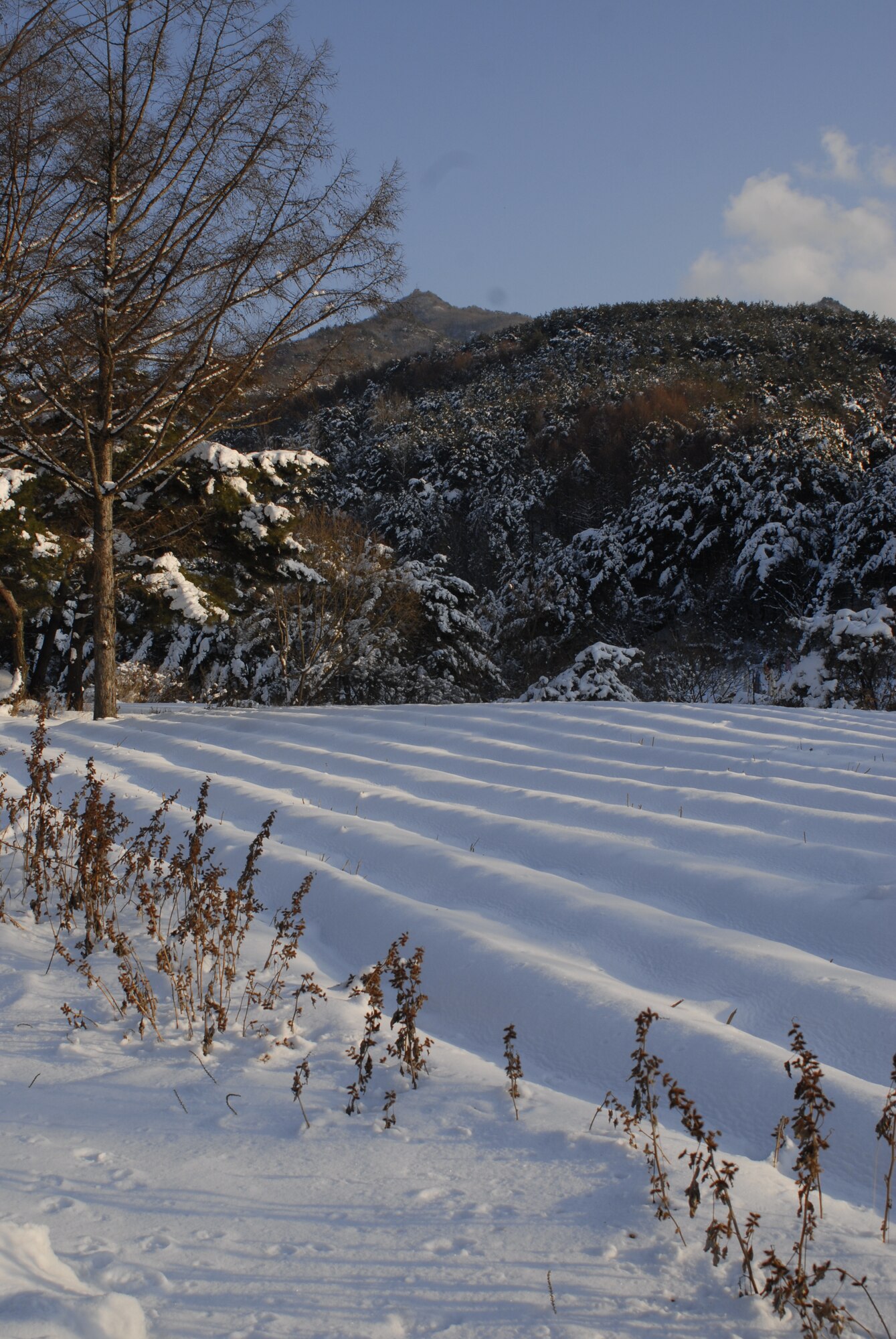 Field near Anseong Hiking Support Center, Deogyusan National Park, Republic of Korea. (U.S. Air Force photo/Staff Sgt. Eric Burks)