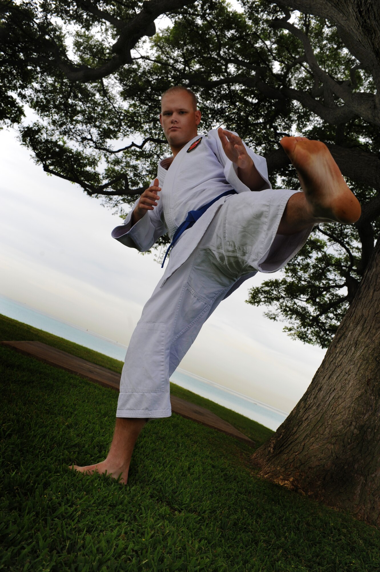 Airman 1st Class Brandon Laflin, 15th Aermedical Dental Squadron bio-environmental engineer, is the Hickam Warrior. Airman Laflin has been studying JuJitsu for two years and said that it helps him perform better both mentally and physically at work. (U.S. Air Force photo/Airman 1st Class Lauren Main)