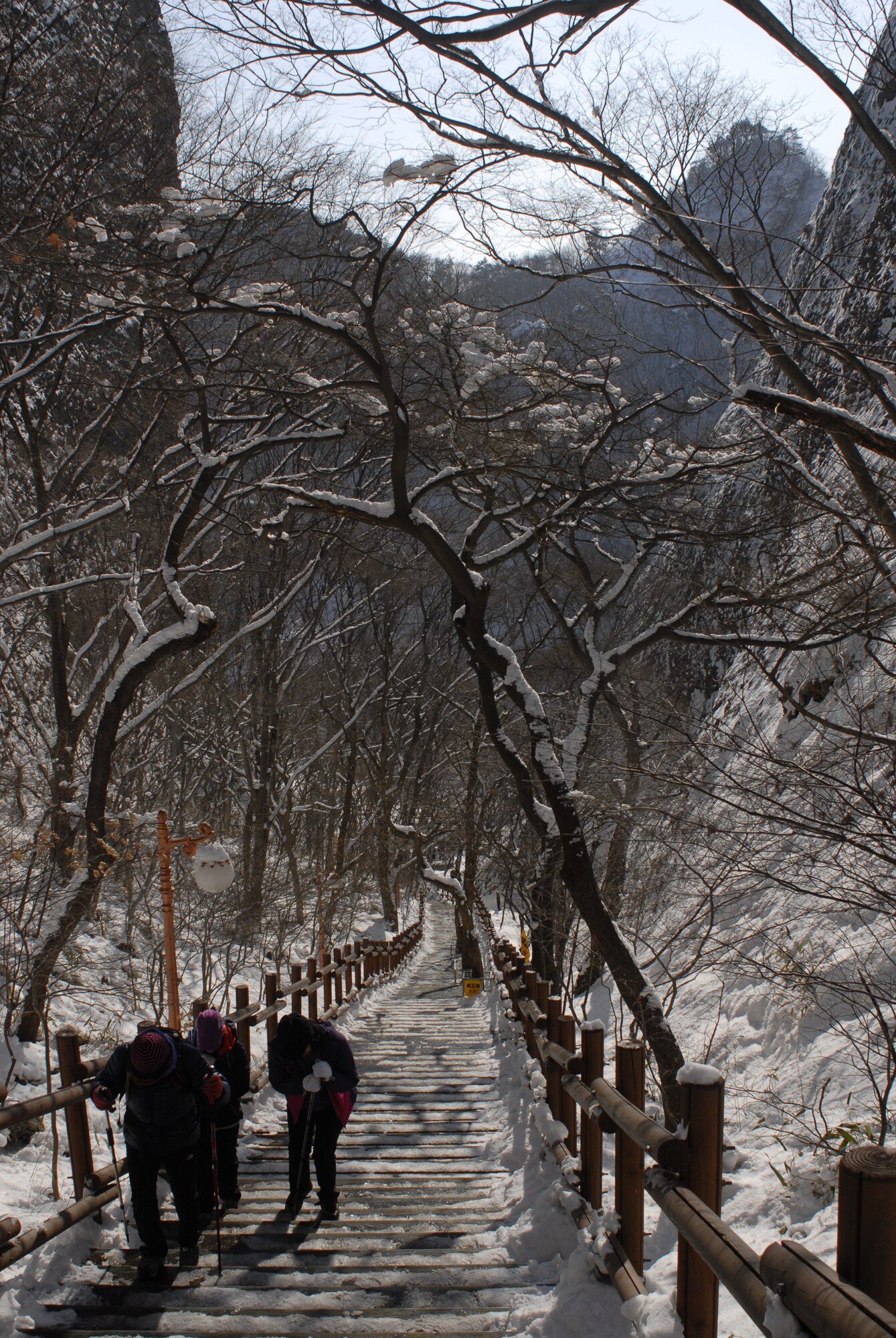 Stairs to Tapsa Temple, Mt. Maisan Provincial Park, in Jinan-gun, Jeollabuk-do, Republic of Korea. (U.S. Air Force photo/Staff Sgt. Eric Burks)