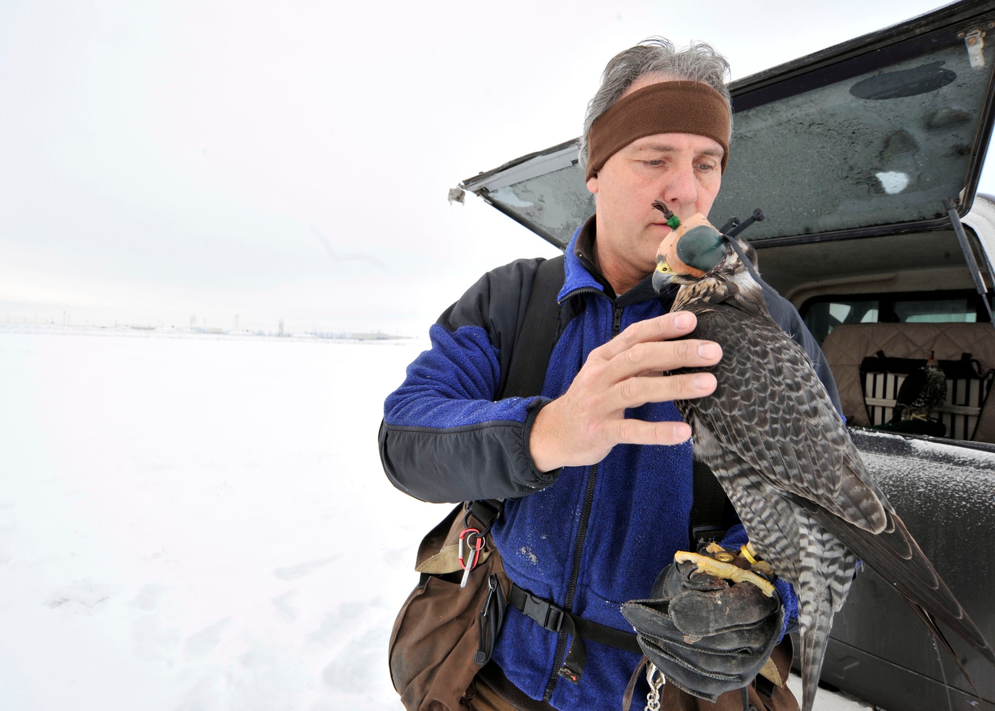 Dave Knutson, 92nd Air fueling Wing Safety, wild life specialist, performs ready checks on his falcon before flight Jan. 4 at Fairchild AFB,WA. (U.S. Air Force Photo/Tech. Sgt. JT May III)
