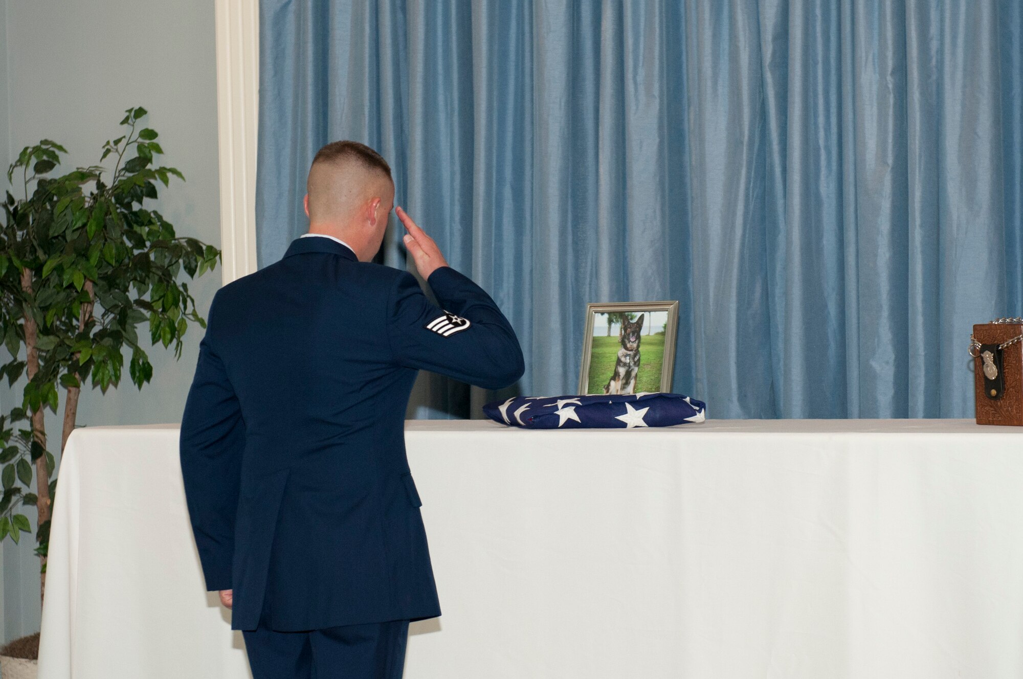 An Airman saultes in honor of the military working dog Walker during a memorial service honoring his life and military service Jan. 18. (U.S. Air Force photo by Jonathan Gibson)