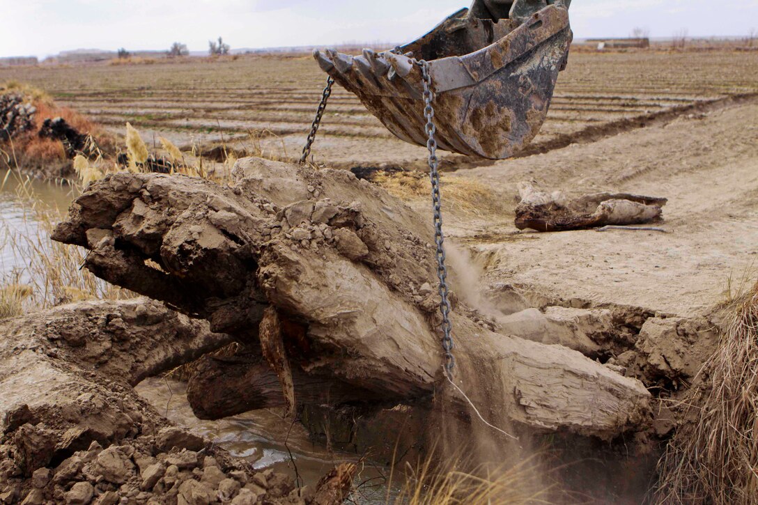 Marines with Combat Logistics Battalion 3, 1st Marine Logistics Group (Forward) use a heavy equipment vehicle to remove a bridge in Durzay, Afghanistan, Jan. 21. Following a recent clearing operation in Durzay, Marines are beginning to conduct civil development projects in the area.