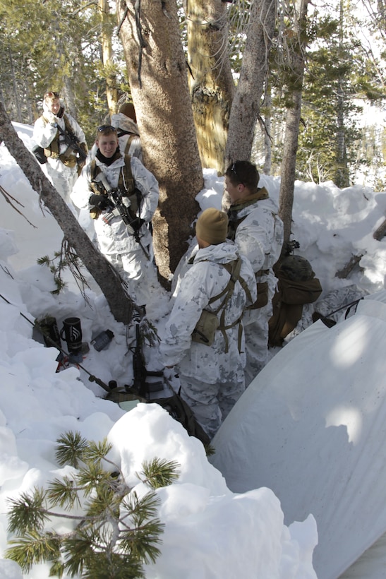A shooter and his spotter prepare a shot Jan. 24, 2011, during the Mountain Scout Sniper Course at Marine Corps Mountain Warfare Training Center, Bridgeport, Calif.