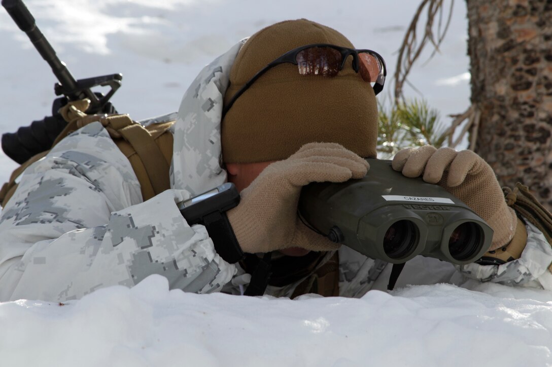 A scout sniper takes an observer, watching to see the any position changes in his target Jan. 24, 2011, during the Mountain Scout Sniper Course at Marine Corps Mountain Warfare Training Center, Bridgeport, Calif.