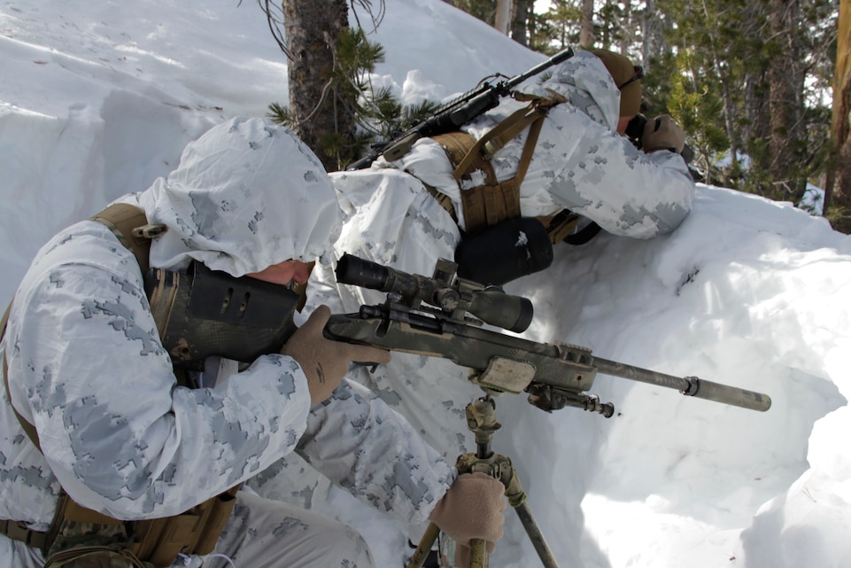 A shooter and his spotter prepare a shot, Jan. 24, 2011, during the Mountain Scout Sniper Course at Marine Corps Mountain Warfare Training Center, Bridgeport, Calif.::r::::n::