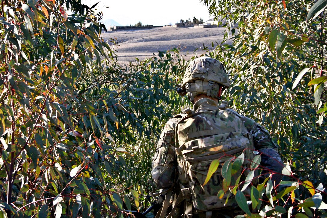 A U.S. Army soldier works his way through some brush outside the village of 
Nengares in Nuristan province, Afghanistan, Jan. 21, 2011. The soldier is assigned to Company C, 1st Battalion, 133rd Infantry Regiment. After seven hours of searching through rugged terrain, U.S. and Afghan soldiers located an improvised explosive device along Route Iowa, based on a tip.
