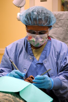 Senior Airman Shaleena Pulliam, a 341st Medical Operations Squadron dental assistant, demonstrates a dental cleaning on a patient. When she's at work is basically the only time Airman Pulliam is not spending time with her twin sister. (U.S. Air Force photo/Airman Cortney Hansen)