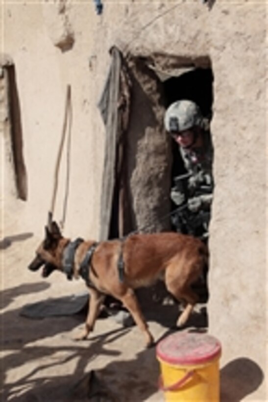 U.S. Air Force Staff Sgt. Kayla Wolf, a dog handler, and her canine partner T-Rex exit a building during a clearing operation in Chesmah, Kandahar province, Afghanistan, on Jan. 18, 2011.  Multiple canine teams participated in the clearing operation assisting in the search for explosives.  