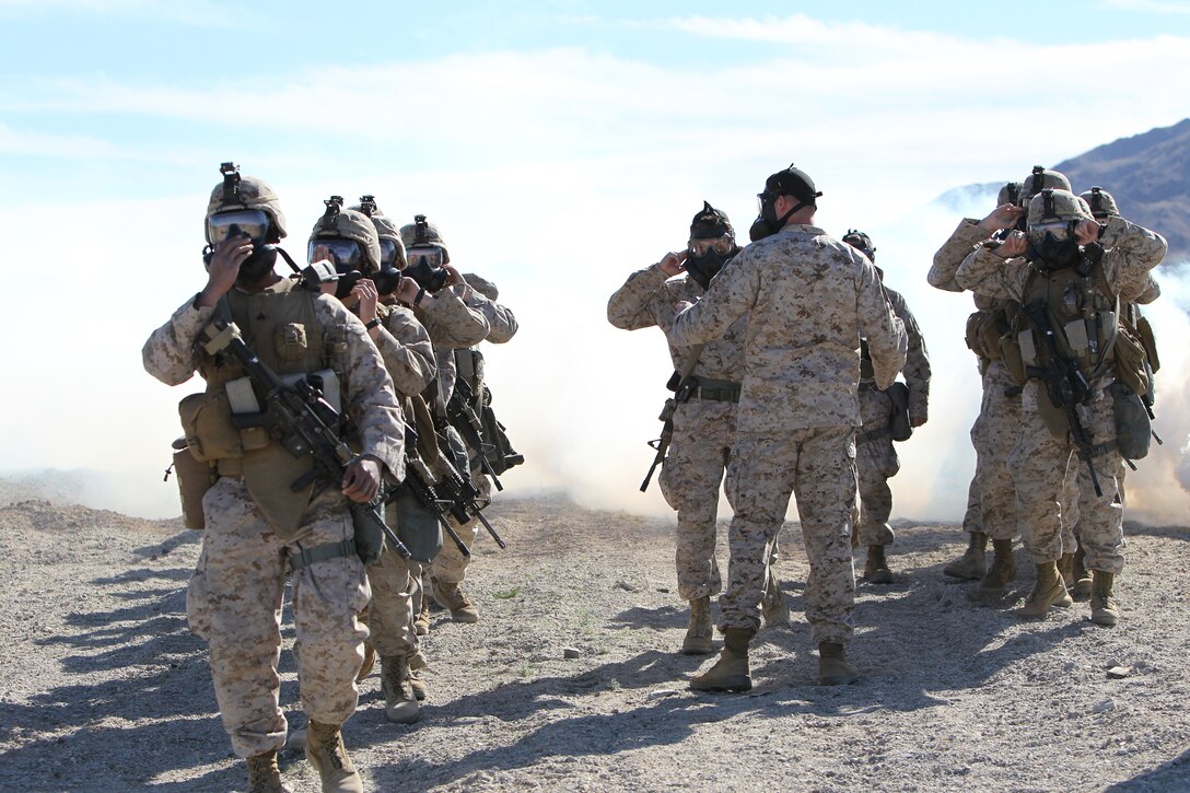 Sergeant Matthew Davis, the chemical, biological, radiological, and nuclear chief with Headquarters and Support Co., 2nd Battalion, 7th Marine Regiment, inspects his Marines and sailors during an outdoor gas exercise performed at Range 210 Jan. 26, 2011. The Marines and sailors in full protective gear take turns marching through the cloud of gas to test and become acquainted with their new gear.