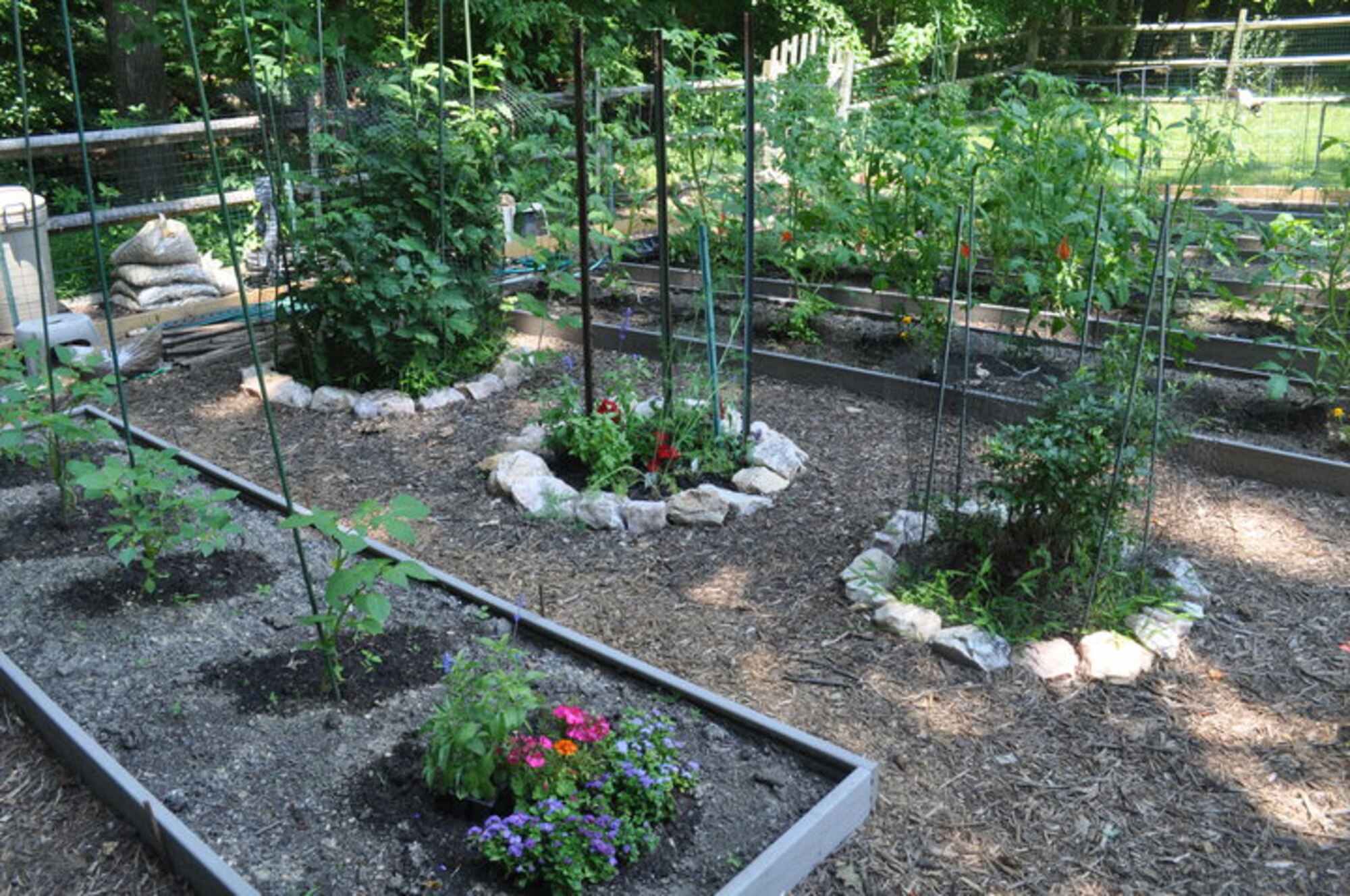 Master Sgt. Julianna Arnold, a clarinetist in the Concert Band, maintains a garden year-round.  Last year Sergeant Arnold grew everything from cucumbers, peppers, beans and tomatillos, to squash, blueberries and raspberries.  When asked how she has become such a successful gardener, Arnold credits her musical background, saying, “I think in many respects being a musician has helped me to be a patient gardener. Just like musicians have to spend many hours practicing and rehearsing before the final product can be revealed to an audience, tending to a garden takes a lot of patience and time devoted to nurturing a plant to fruition.”
