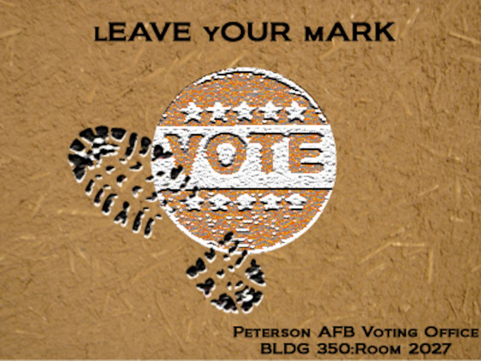 PETERSON AIR FORCE BASE, Colo. – Peterson AFB will have its first ever Installation Voting Office, available to all Team Pete members starting Jan. 31. (U.S. Air Force graphic/ Airman 1st Class Jessica Hines)
