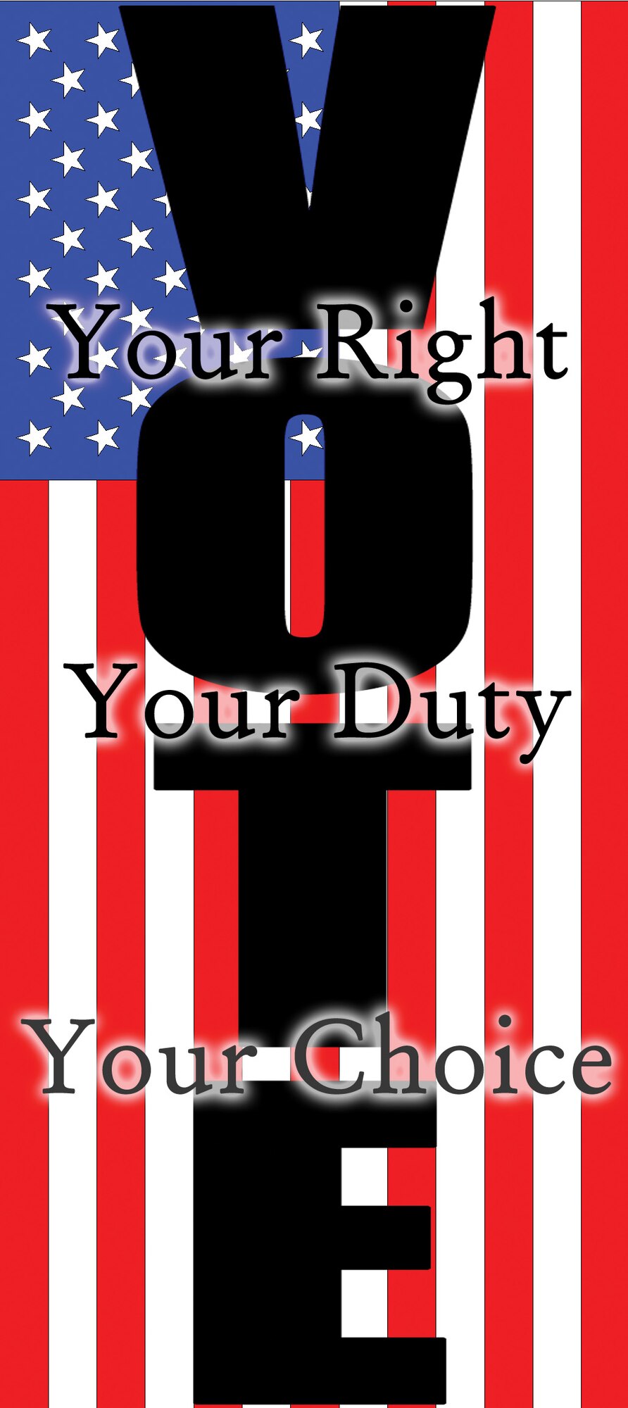 Federal Voting Assistance Program (U.S. Air Force graphic)
