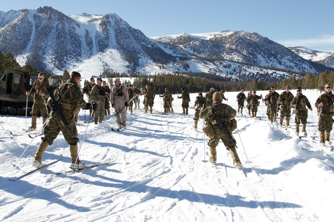 Marines with Company F, 2nd Battalion, 4th Marine Regiment, learn to ski on level ground Jan. 28, 2011, at Marine Corps Mountain Warfare Training Center, Bridgeport, Calif.