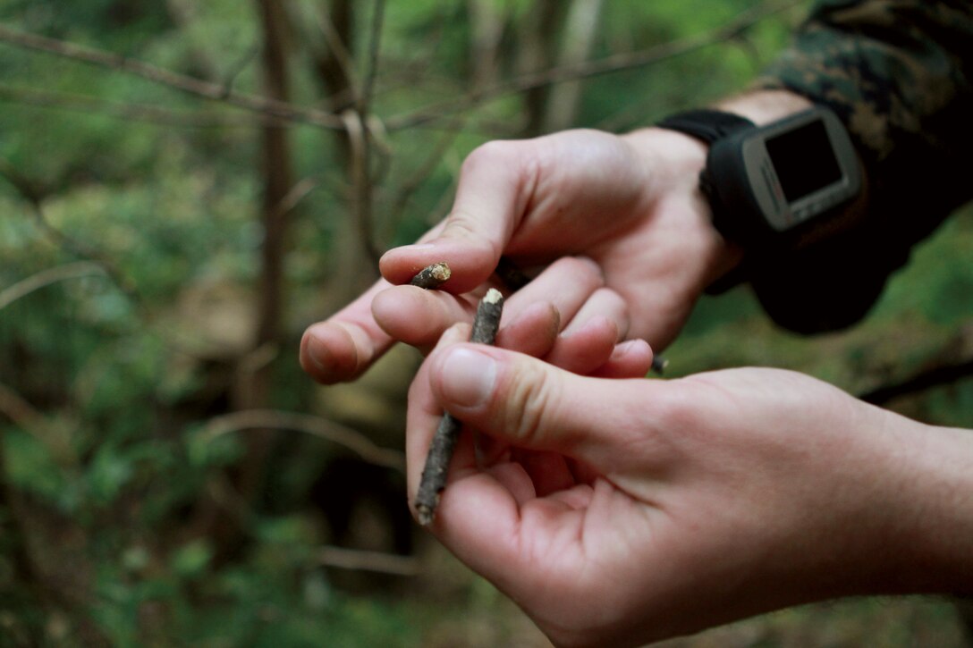 Sgt. Kyle O. Kerr, a combat instructor with Advanced Infantry Training Battalion, School of Infantry West, Marine Corps Base, Camp Pendleton, Calif., breaks a stick to show one of the ways a tracker can identify whether someone has recently been through the area during the combat hunter course Jan. 28. The ends of a stick will show dirt from sitting over time, while a fresh break is much lighter and clean. ::r::::n::
