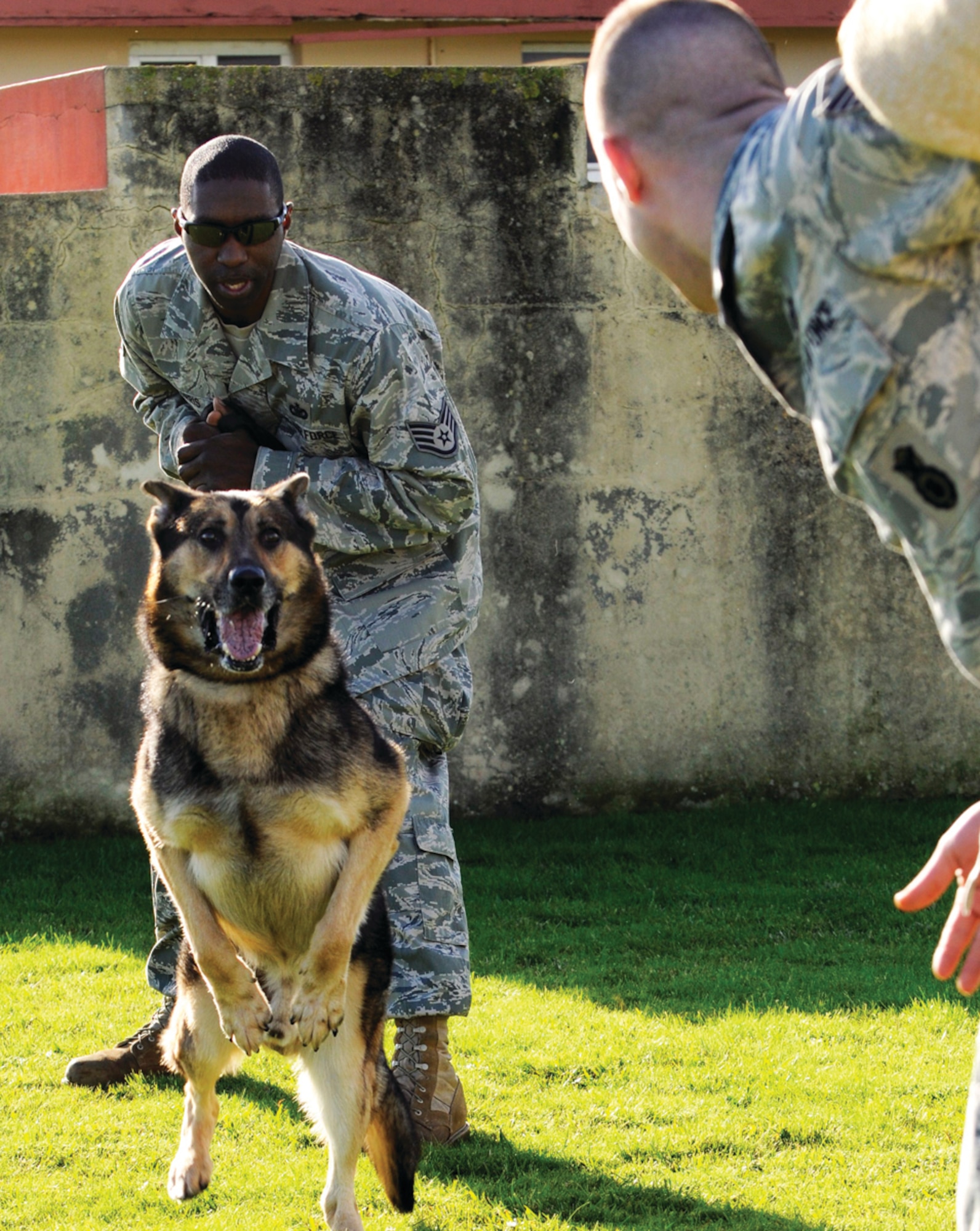 Staff Sgts. (handling the dog) Jerald Harris and Curtis Locke, 65th Security Forces Squadron’s military working dog section, train “Dan” at Lajes Field, Azores, Jan. 21, 2011.  Sergeant Locke is the Lajes kennel master and trainer, while Sergeant Harris is the K-9 handler. (U.S. Air Force photo/Staff Sgt. Olufemi Owolabi)