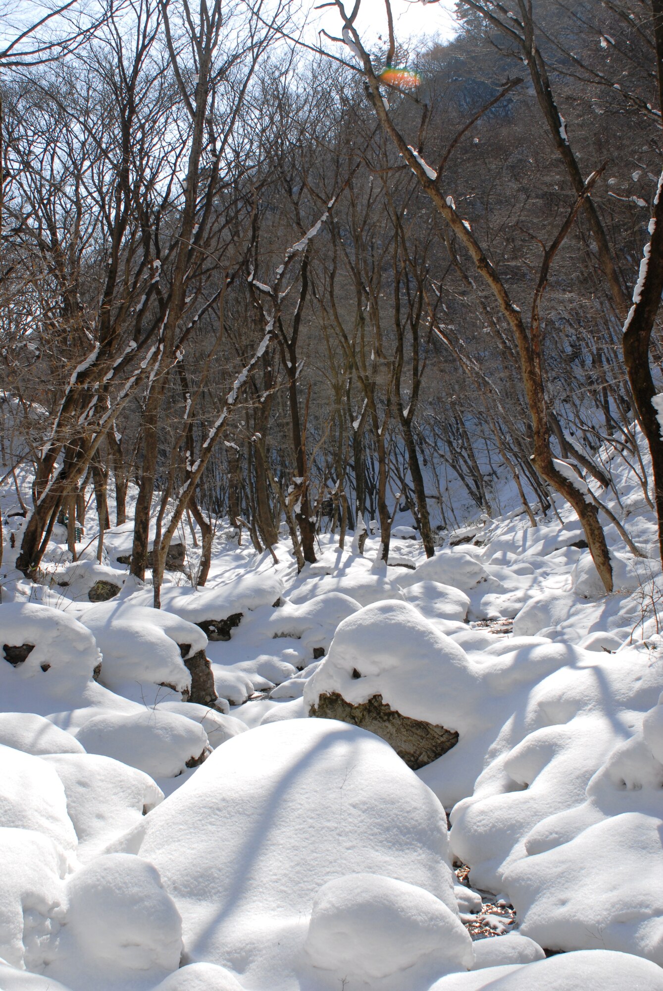Naejangsan National Park, Republic of Korea. (U.S. Air Force photo/Staff Sgt. Eric Burks)
