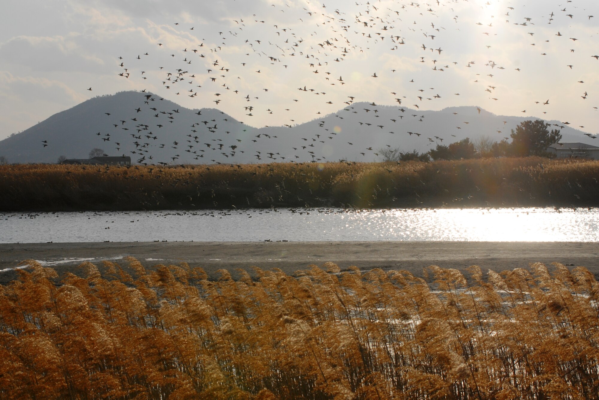 Suncheon Bay, Republic of Korea. (U.S. Air Force photo/Staff Sgt. Eric Burks)