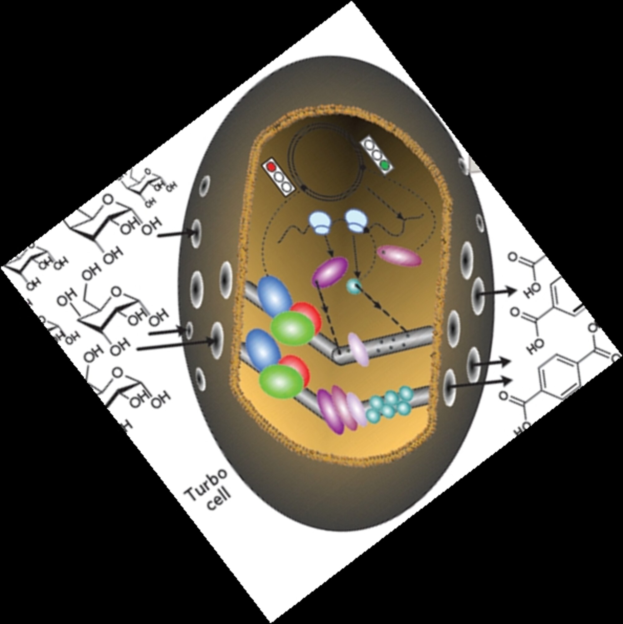 Officials at the Defense Advanced Research Projects Agency working a new project called Living Foundries are looking for companies that can harness biology to speed up and lower the cost of producing new materials and devices.  (DARPA illustration) 