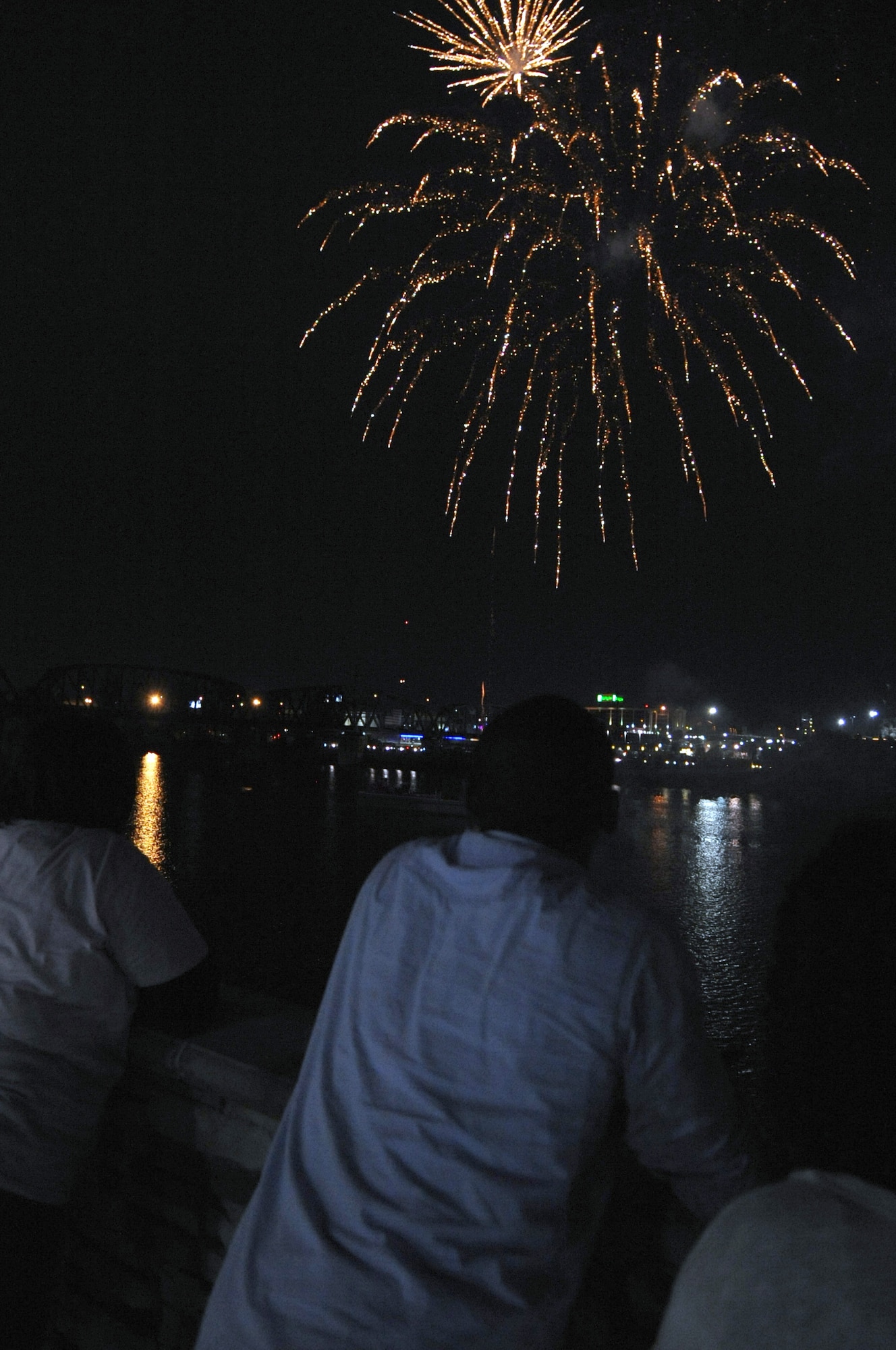 Spectators gaze at the pyrotechnics as they light up the sky during the Independence Day Festival held at the RiverView Park in Bossier City, La., July 4. Gusty winds and heavy rain didn't stop the show but delayed it for an hour. (U.S. Air Force photo/Senior Airman La'Shanette V. Garrett)(Released)

