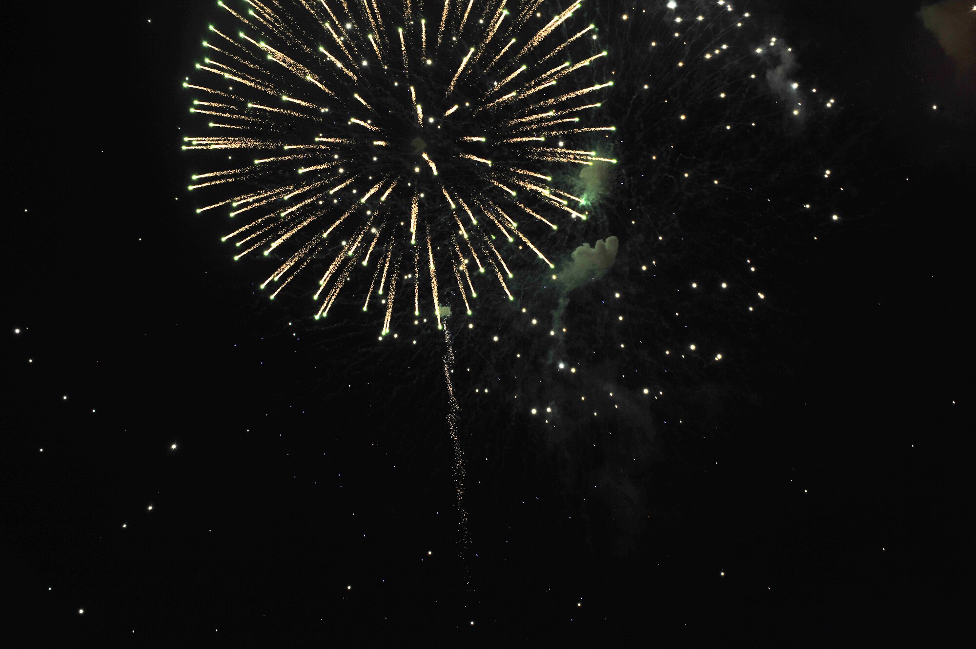SHAW AIR FORCE BASE, S.C.-- Fireworks go off during the Jammin' July 4th event at Dillion Park. The celebration allows the Sumter community and  Team Shaw to come together annually for food, fun and a fireworks show. Shaw helps sponsor the event every year to give back to the community for the support throughout the year. (U.S. Air Force photo by Airman 1st Class Ashley Gardner/ Released)