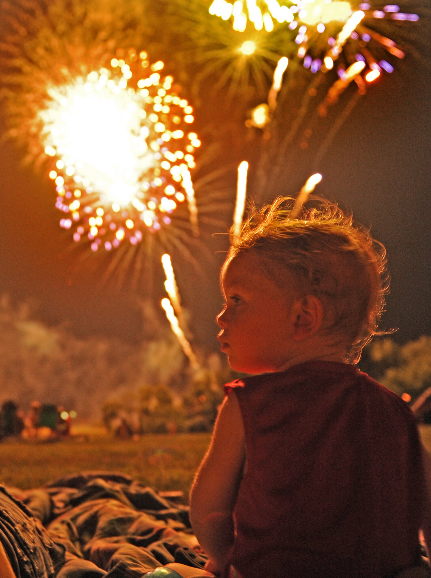 WHITEMAN AIR FORCE BASE, Mo. -- Jake Richards, 20 months, grandson of retired Master Sgt. Dan and Julie Richards, and son of Melissa Richards, enjoys the Whiteman fireworks as part of the Independence Day Weekend Celebration at Ike Skelton Park here July 1. Base members and their families took part in the celebration hosted by the 509th Force Support Squadron. (U.S. Air Force photo by Heidi Hunt)