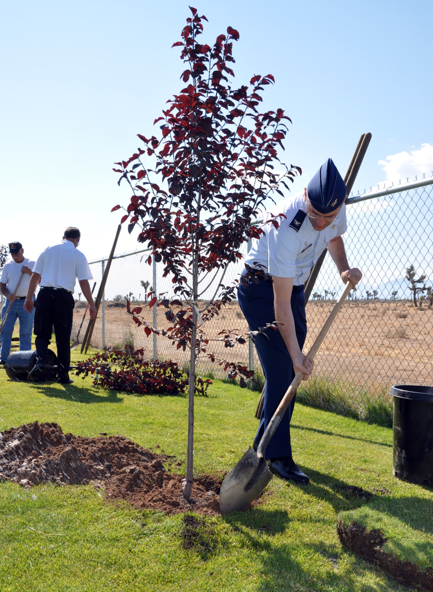 Col. Gregory Schwab, 95th Air Base Wing commander, adds the final touches to one of five trees planted July 3 at Birdies restaurant and driving range in Palmdale to honor Antelope Valley veterans. (Air Force photo by Kim Strickler)
